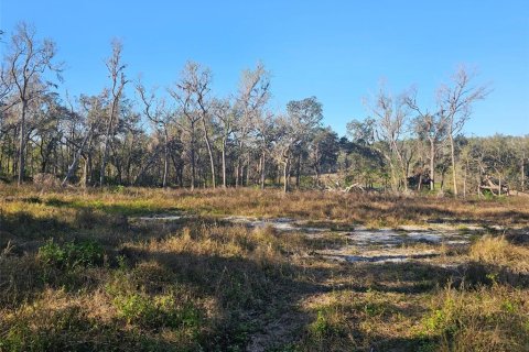 Land in Brooksville, Florida № 1751054 - photo 4