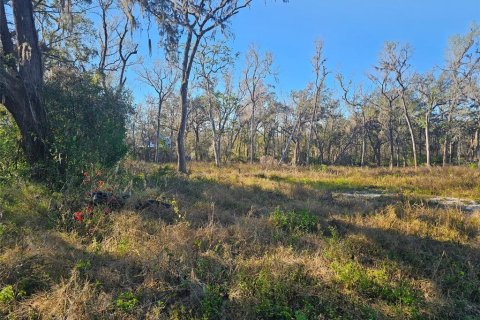 Land in Brooksville, Florida № 1751054 - photo 3