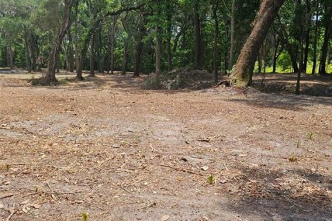 Land in Brooksville, Florida № 1751054 - photo 7