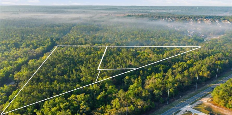 Terrain à Beverly Hills, Floride № 2114277