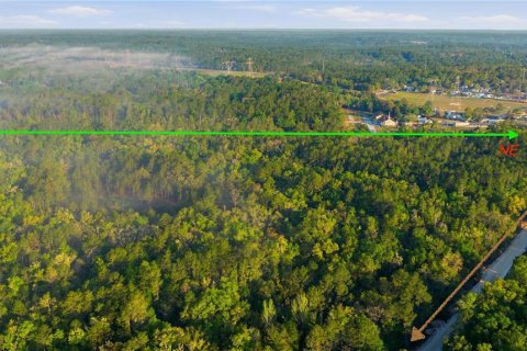 Terrain à vendre à Beverly Hills, Floride № 2114277 - photo 9