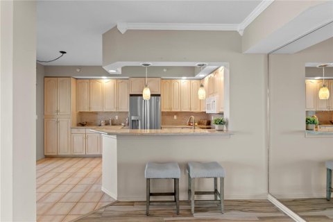 Condo in Saint Petersburg, Florida, 2 bedrooms № 2213417 - photo 18