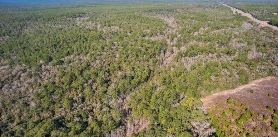 Terreno en De Funiak Springs, Florida № 559370