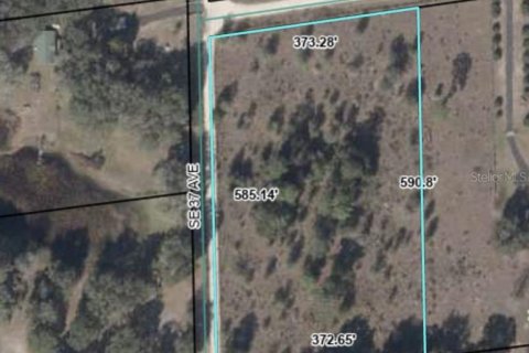 Land in Trenton, Florida № 1886015 - photo 7