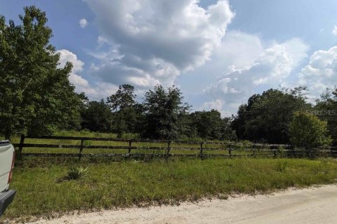 Land in Trenton, Florida № 1886015 - photo 3