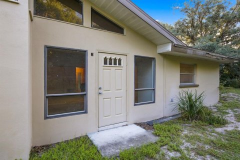 Villa ou maison à vendre à Palm Harbor, Floride: 3 chambres, 198.63 m2 № 2433570 - photo 28