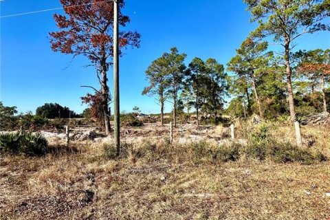 Land in Lake Wales, Florida № 1761984 - photo 12
