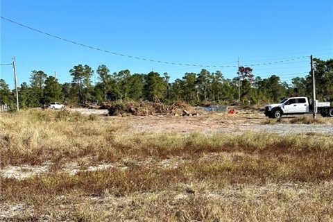 Land in Lake Wales, Florida № 1761984 - photo 21