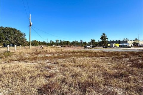 Land in Lake Wales, Florida № 1761984 - photo 20
