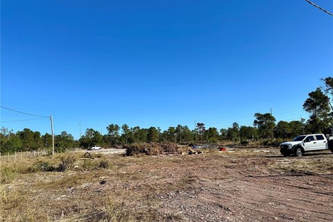 Land in Lake Wales, Florida № 1761984 - photo 5