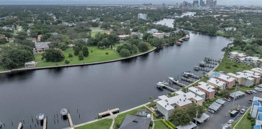 Condo à Tampa, Floride, 1 chambre  № 1919606