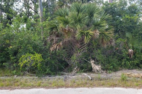 Terrain à vendre à Port Charlotte, Floride № 2213925 - photo 5