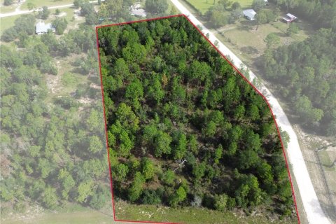 Land in Williston, Florida № 2351938