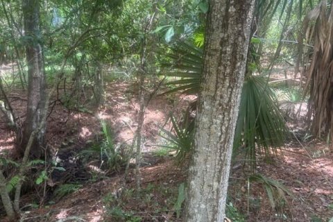 Propiedad comercial en Ormond Beach, Florida № 2259645