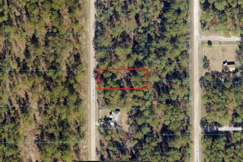 Land in Dunnellon, Florida № 2211581