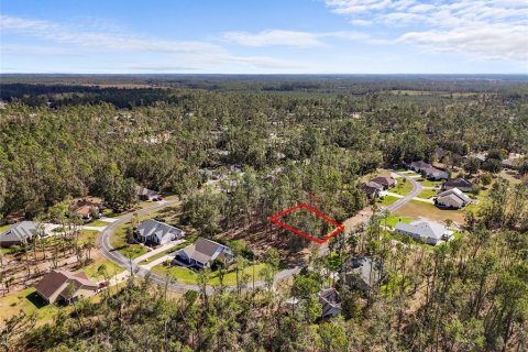Land in Live Oak, Florida № 2166110 - photo 2