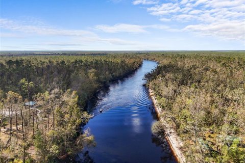 Land in Live Oak, Florida № 2166110 - photo 5