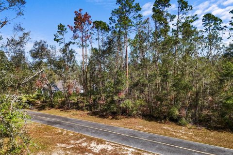Land in Live Oak, Florida № 2166110 - photo 6