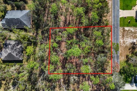 Land in Live Oak, Florida № 2166110 - photo 4