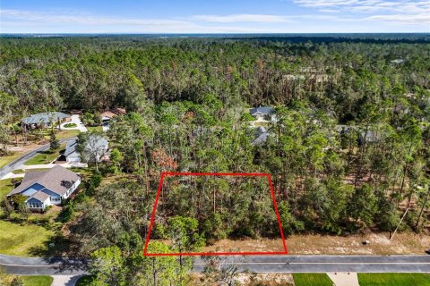 Land in Live Oak, Florida № 2166110 - photo 3