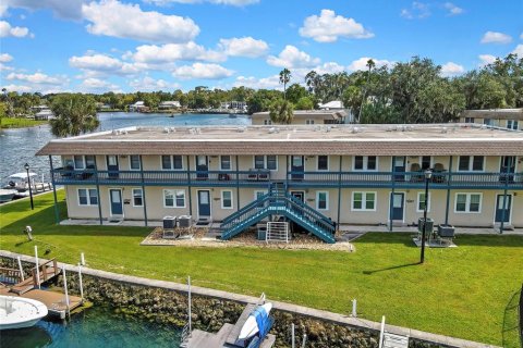 Condo in Crystal River, Florida, 2 bedrooms № 2378328 - photo 27