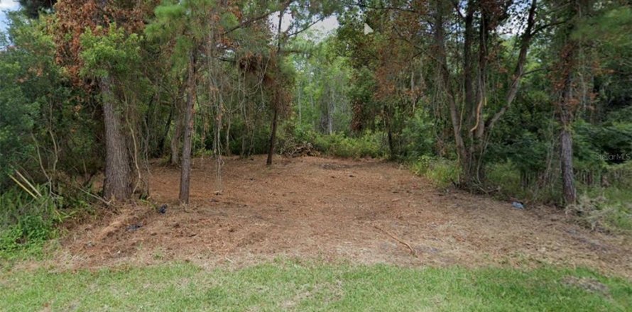 Land in Deltona, Florida № 2275571