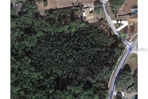 Land in Deltona, Florida № 2275571 - photo 3