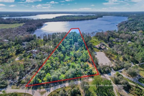 Land in Chuluota, Florida № 1895038 - photo 9