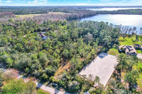 Land in Chuluota, Florida № 1895038 - photo 5