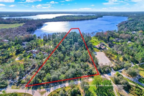 Land in Chuluota, Florida № 1895038 - photo 8