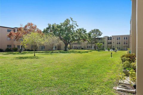 Condo in Saint Petersburg, Florida, 1 bedroom  № 1723306 - photo 13