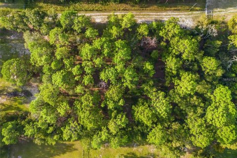 Terrain à vendre à Ocala, Floride № 1840363 - photo 5