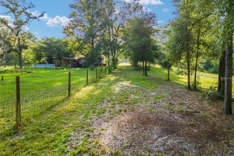 Terrain à vendre à Ocala, Floride № 1840363 - photo 4