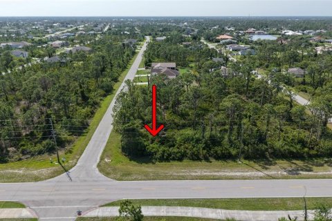 Land in Port Charlotte, Florida № 2158850 - photo 8