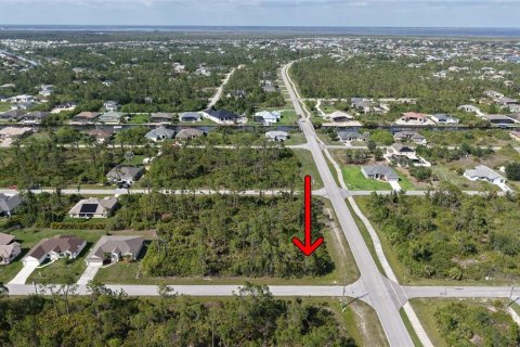 Land in Port Charlotte, Florida № 2158850 - photo 9