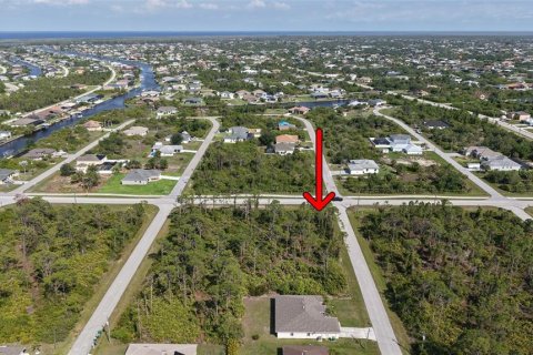 Land in Port Charlotte, Florida № 2158850 - photo 10