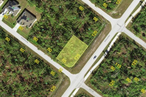 Land in Port Charlotte, Florida № 2158850 - photo 2