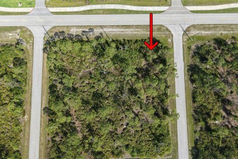 Land in Port Charlotte, Florida № 2158850 - photo 11