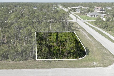 Land in Port Charlotte, Florida № 2158850 - photo 6