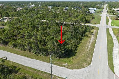 Land in Port Charlotte, Florida № 2158850 - photo 7