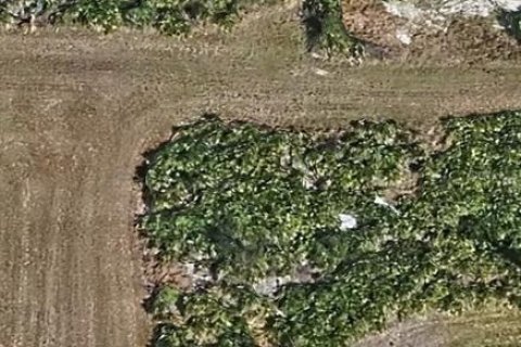 Land in Placida, Florida № 2165336 - photo 2