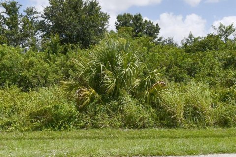 Terrain à vendre à Saint Lucie, Floride № 2431759 - photo 2