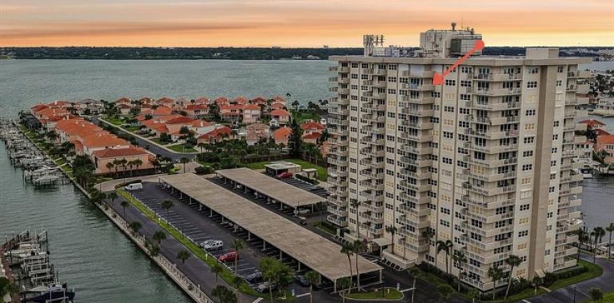 Condo à Clearwater, Floride, 2 chambres  № 2408833