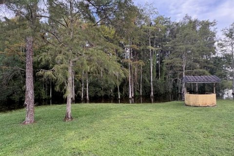 Commercial property in Lake Worth, Florida № 2375904 - photo 17