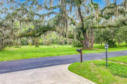 Villa ou maison à vendre à DeLand, Floride: 3 chambres, 244.61 m2 № 2298289 - photo 3