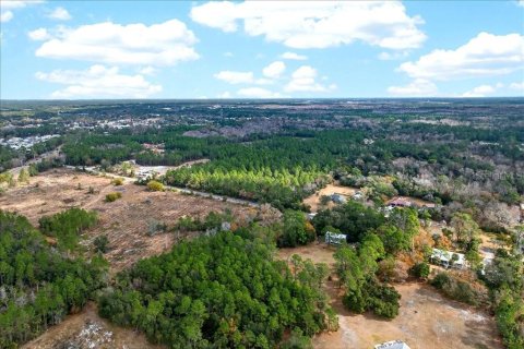 Terreno en venta en Bunnell, Florida № 2109044 - foto 15