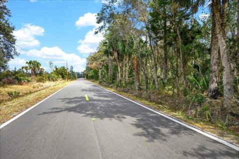 Terreno en venta en Bunnell, Florida № 2109044 - foto 11