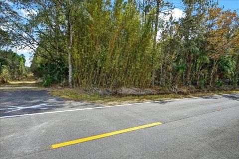 Terreno en venta en Bunnell, Florida № 2109044 - foto 22