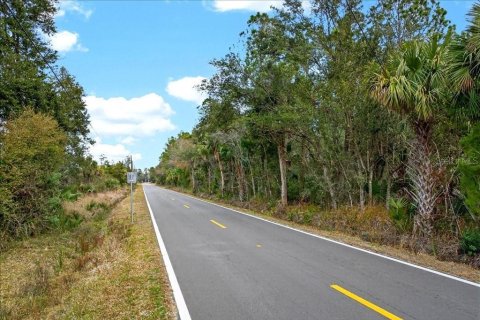 Terreno en venta en Bunnell, Florida № 2109044 - foto 21