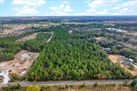Terreno en venta en Bunnell, Florida № 2109044 - foto 3